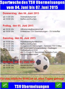 Plakat Programm